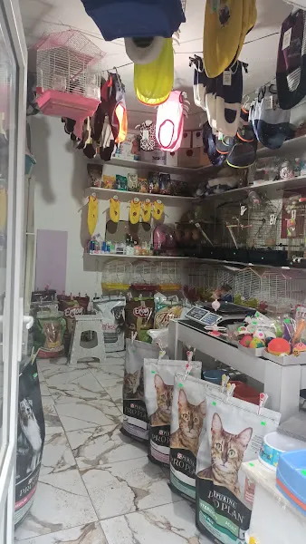 Selvi kuş evi foto 2