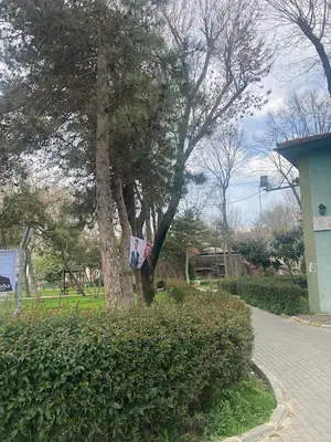Bayrampaşa veteriner işler müdürlüğü
