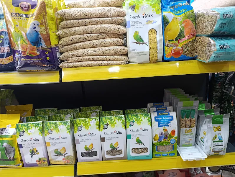 Çekmeköy Raven Petshop Akvaryum foto 2