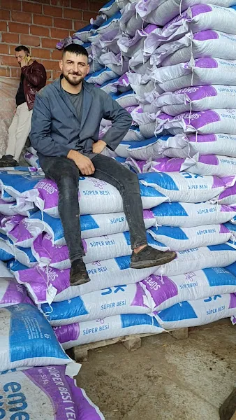 Çimen yem foto 2