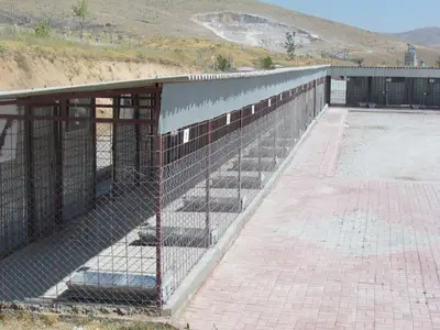 Kırşehir Belediyesi Veteriner İşleri Müdürlüğü