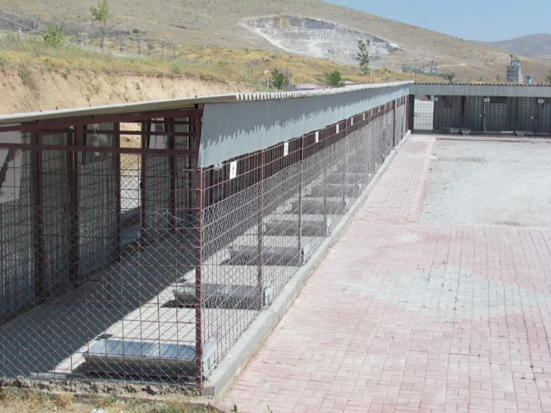 Kırşehir Belediyesi Veteriner İşleri Müdürlüğü foto 1