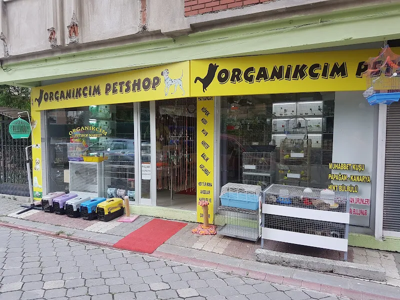 Organikcim Petshop Akvaryum Dünyası foto 1