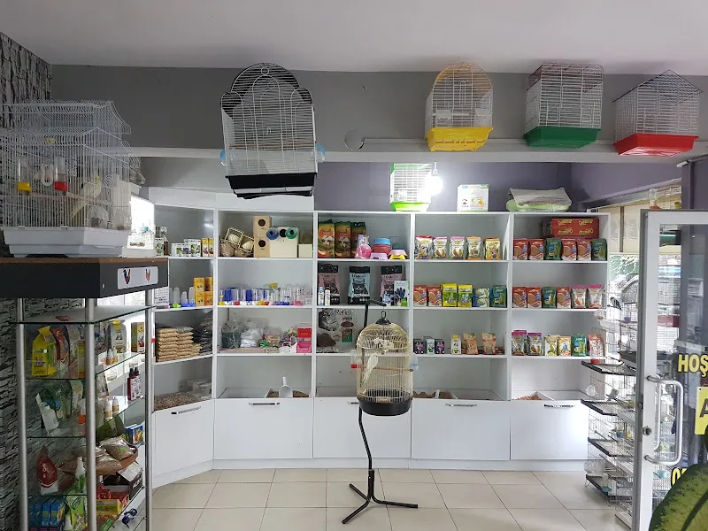 Organikcim Petshop Akvaryum Dünyası foto 2