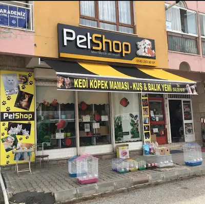 Mavi Mercan Pet Shop