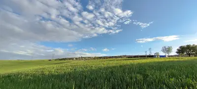 Bala Taksi Durağı