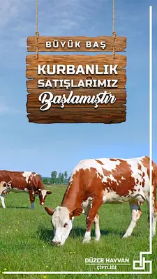 Düzce Hayvan Çiftliği