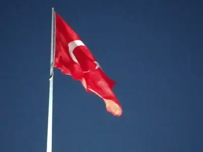 PENDİK BELEDİYESİ HAYVAN BARINAĞI fotoğrafı