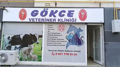 GÖKCE VETERİNER KLİNİĞİ