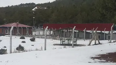 Kangal Köpeği Uygulama ve Araştırma Merkezi
