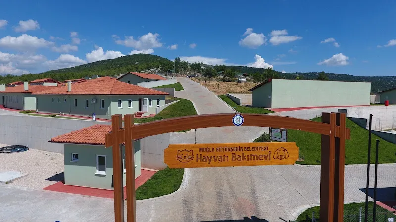 Muğla Belediyesi Hayvan Barınağı foto 1