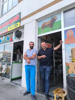 Kent veteriner kliniği