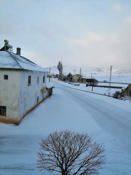 ilkim akpınar çftiliği foto 2