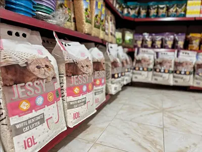 Finike Petshop Balık Av Bayii
