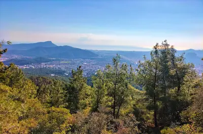 Kemer Belediyesi Sokak Hayvanları Barındırma Merkezi