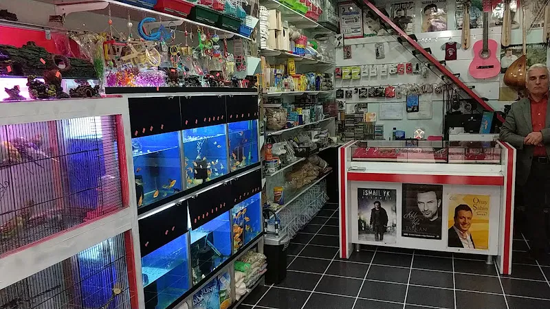 dilber kasetçilik foto 2