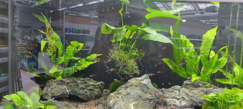 Kaya petshop foto 1