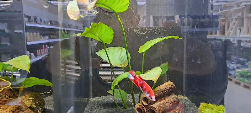 Kaya petshop foto 2