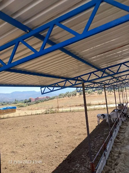 Güneş metal foto 2