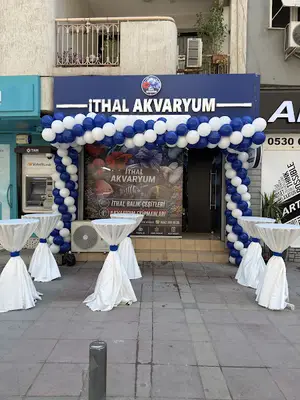İthal Akvaryum