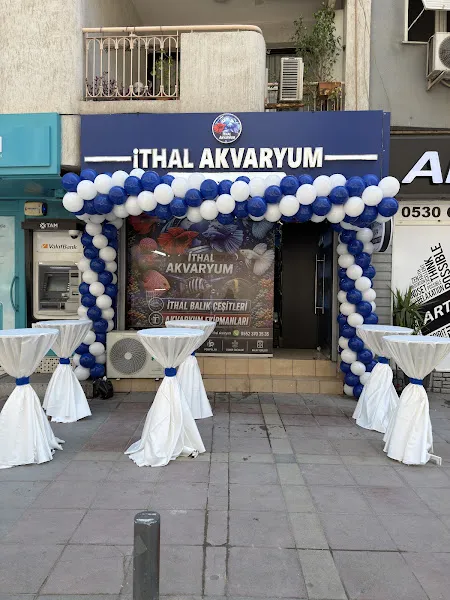 İthal Akvaryum foto 1