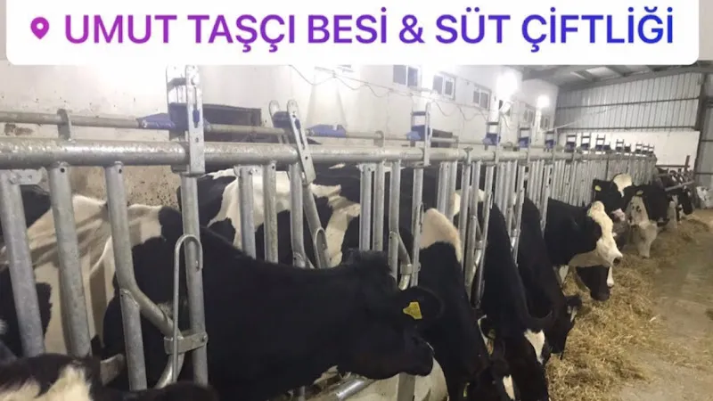 Hacı Usta Besi Çiftliği foto 2