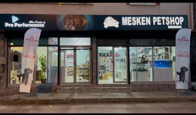MESKEN PETSHOP ARABAYATAĞI ŞUBE