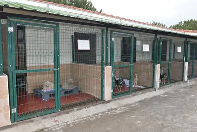 Sağlık İşleri Müdürlüğü Veteriner İşleri Birimi Doğal Hayvan Koruma Alanı