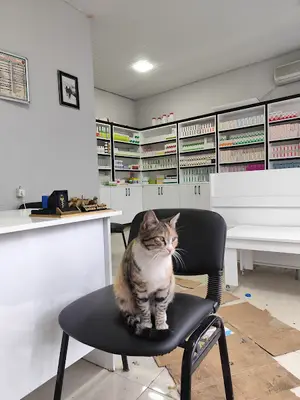 Akcan Veteriner Kliniği