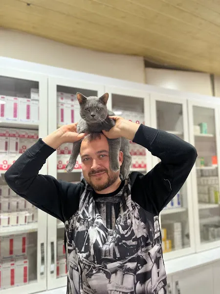 Zirve veteriner kliniği foto 1
