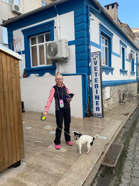 Orvet Veterinerlik foto 1