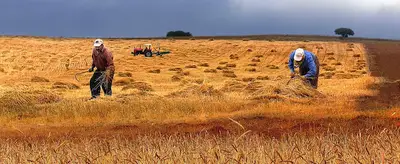 Güneysınır Gıda Tarım Ve Hayvancılık Müdürlüğü fotoğrafı