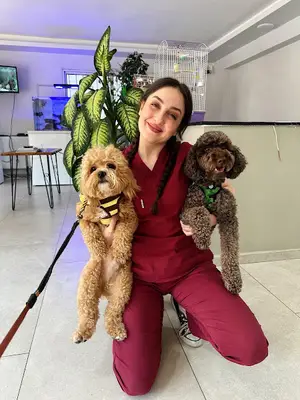 PetKöşk Veteriner Kliniği