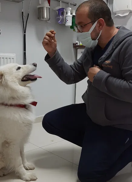 MyPet Veteriner Kliniği foto 2