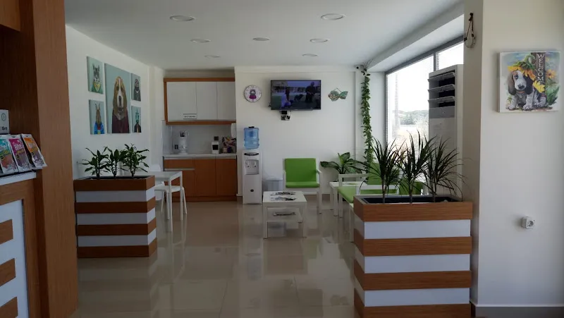 YelkiVet Veteriner Kliniği foto 2