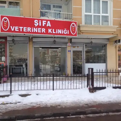 Şifa veteriner kliniği