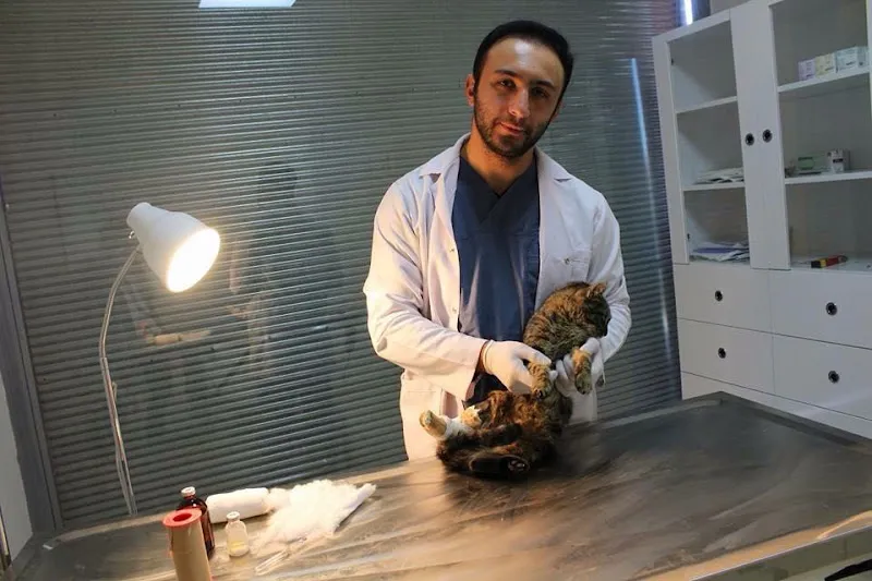 Şifa veteriner kliniği foto 2