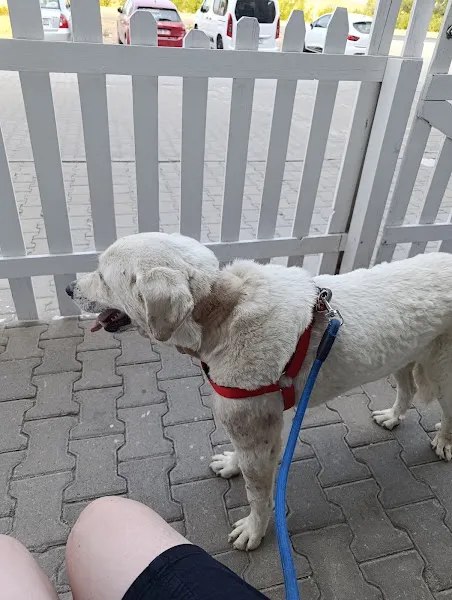 VetCross Veteriner Kliniği foto 2