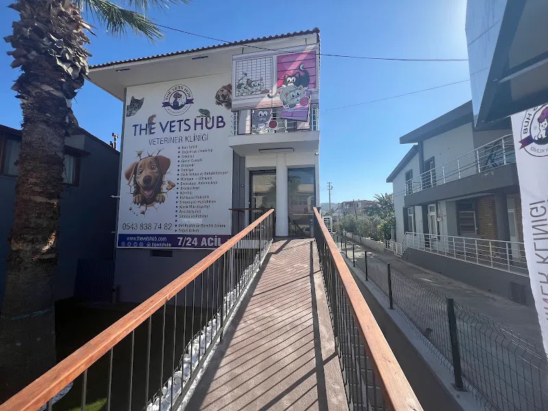 The Vets Hub Veteriner Polikliniği - İzmir foto 2