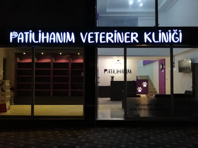 Ayrancılar Patilihanım Veteriner Kliniği foto 1