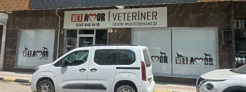 VetAmor Veteriner foto 2