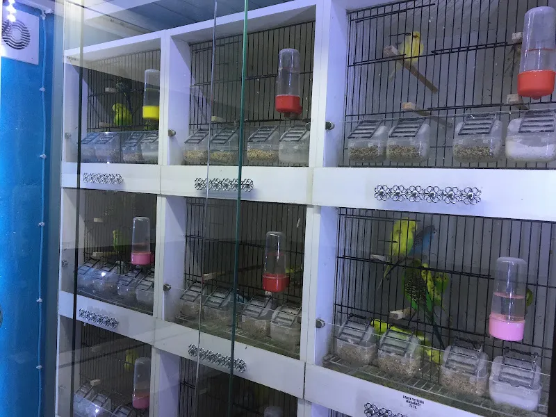 dost petshop foto 2