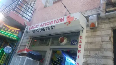 Çağrı petshop
