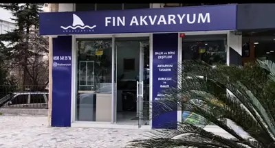 Fin Akvaryum Tasarım | Kadıköy Akvaryumcu | Akvaryum Mağazası