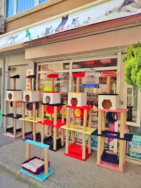 Linda Petshop foto 2