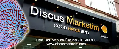 Discus Marketim
