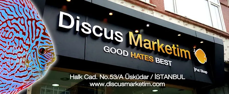 Discus Marketim foto 1