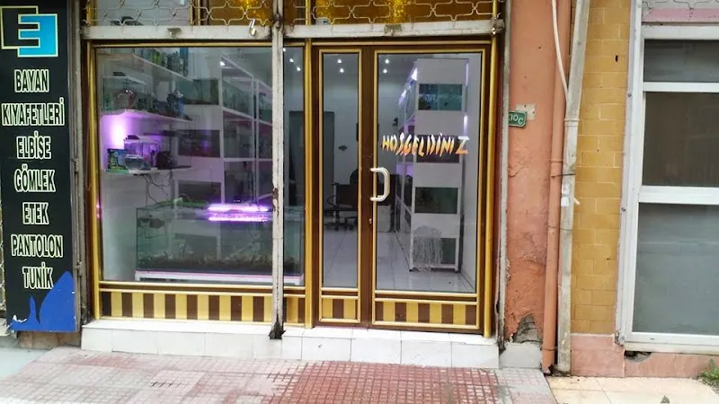 Bursa akvaryum foto 1