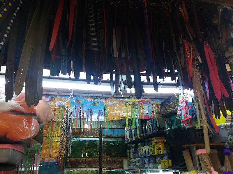 Kemeraltı Pet Shop foto 1
