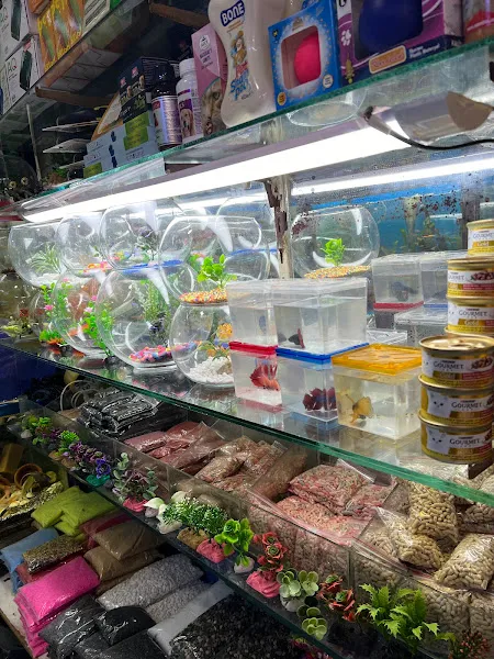 Kemeraltı Pet Shop foto 2